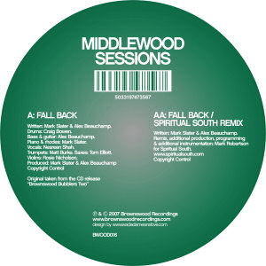 BWOOD016-300[1]