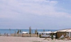 Thumbnail image for Todd Terje WF Beach Mix