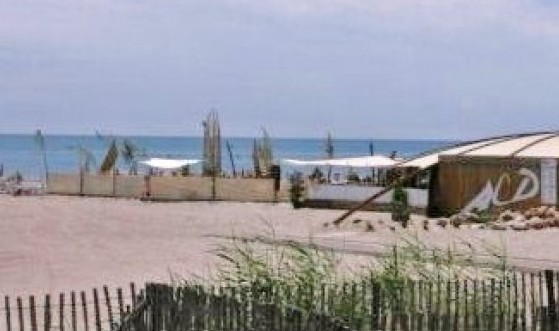 acd3