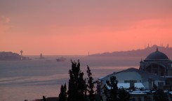 Thumbnail image for Root Down does Istanbul