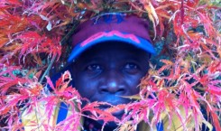 Thumbnail image for ***FREE DOWNLOAD*** // Hello Skinny - Oduor Nyagweno meets Owiny Sigoma Uptown