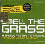 smell-the-grass[1]